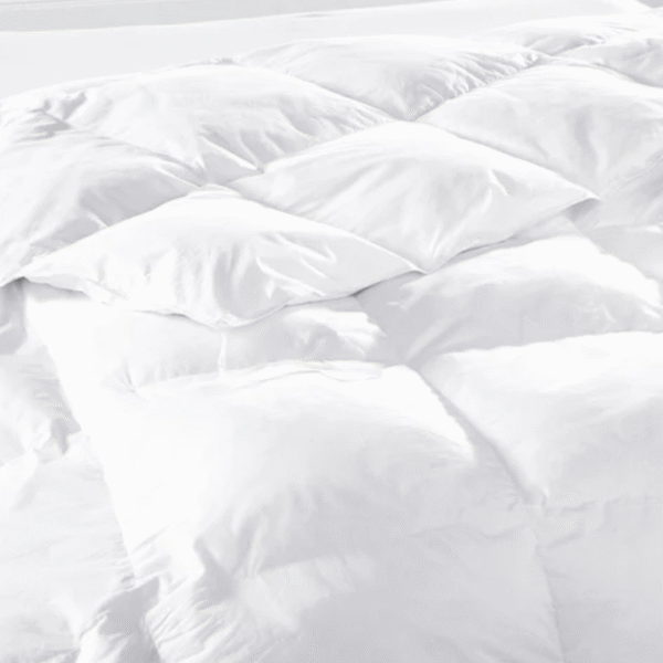 Divine Case White plain Beddings 002